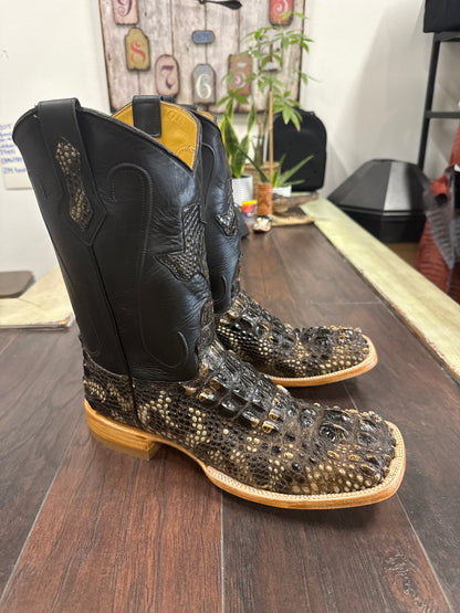 Hornback Am Alligator natural