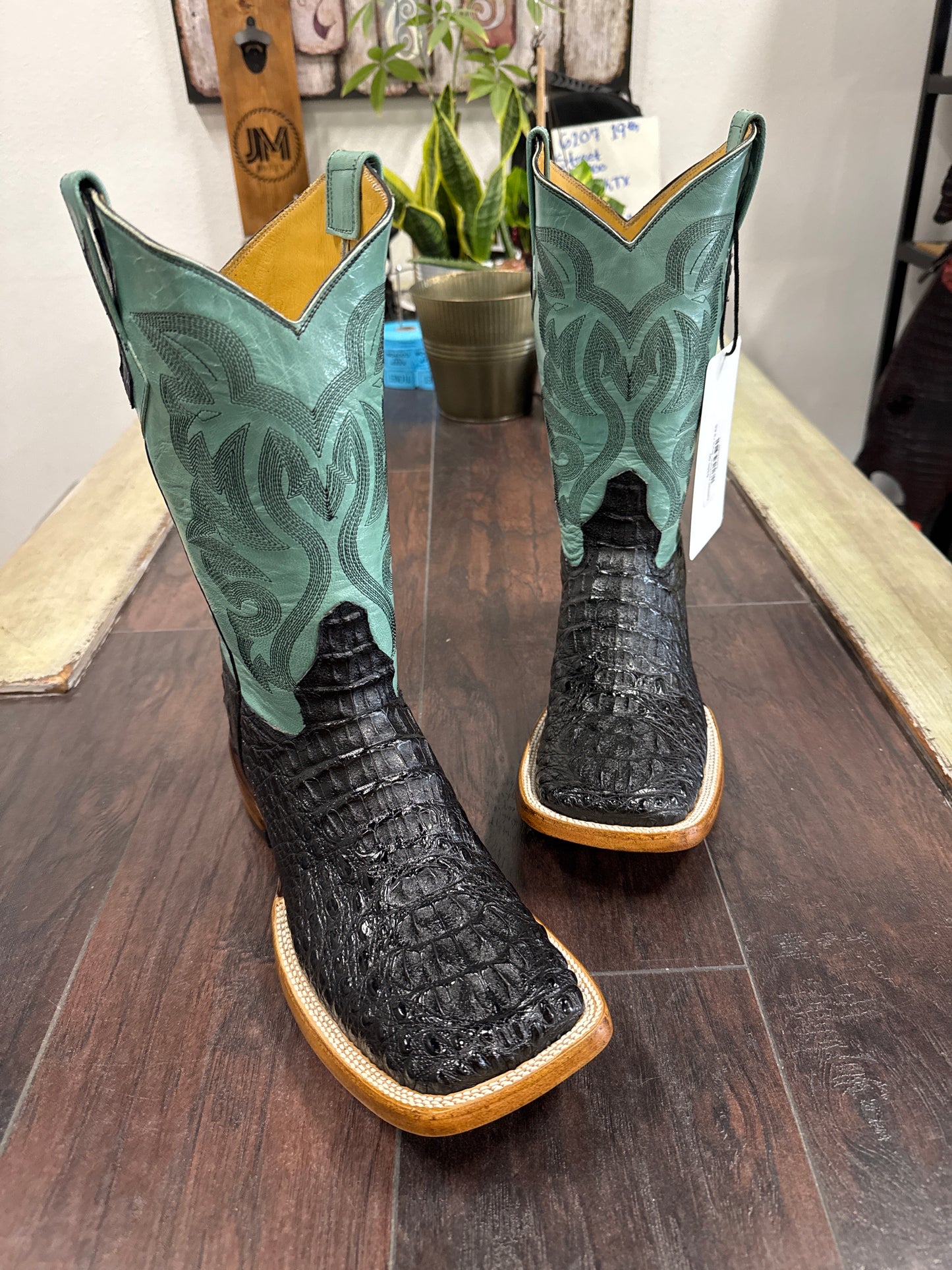 Caiman hornback- Black