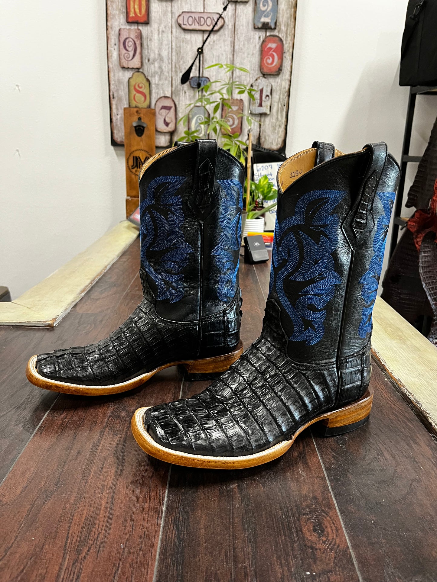 Caiman Tail- Black