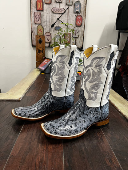 Black Rio Grande Ostrich