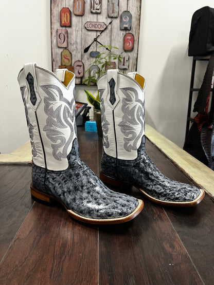 Black Rio Grande Ostrich