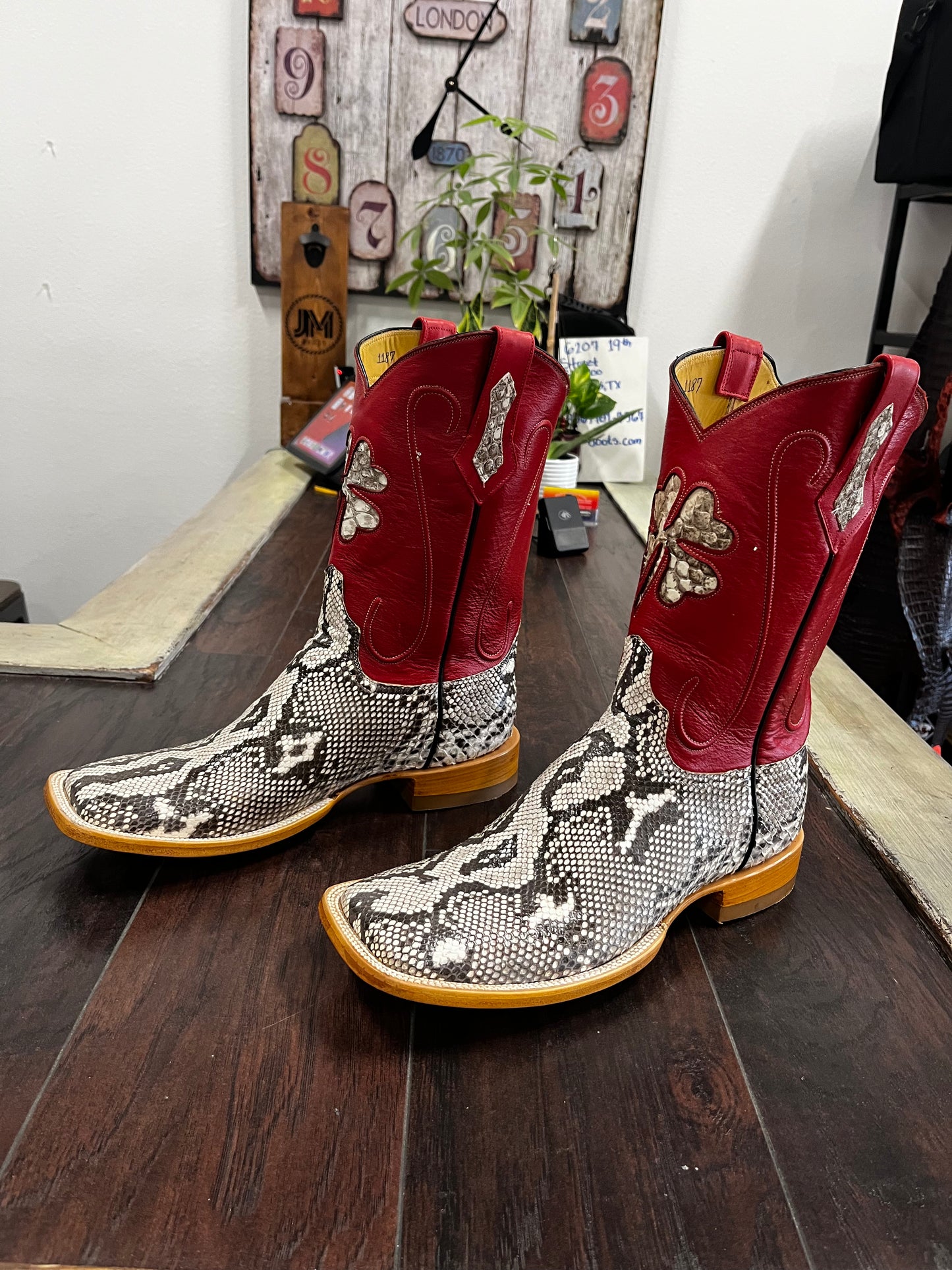 Natural- Python Back