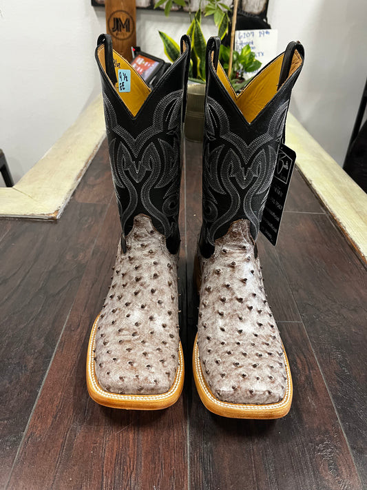 Ostrich- Kango Rio Grande