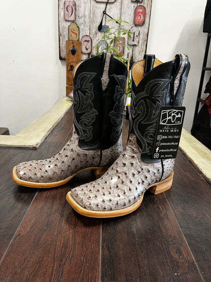 Ostrich- Kango Rio Grande