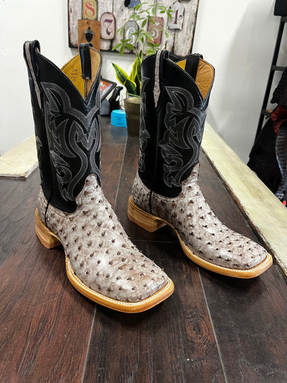 Ostrich- Kango Rio Grande