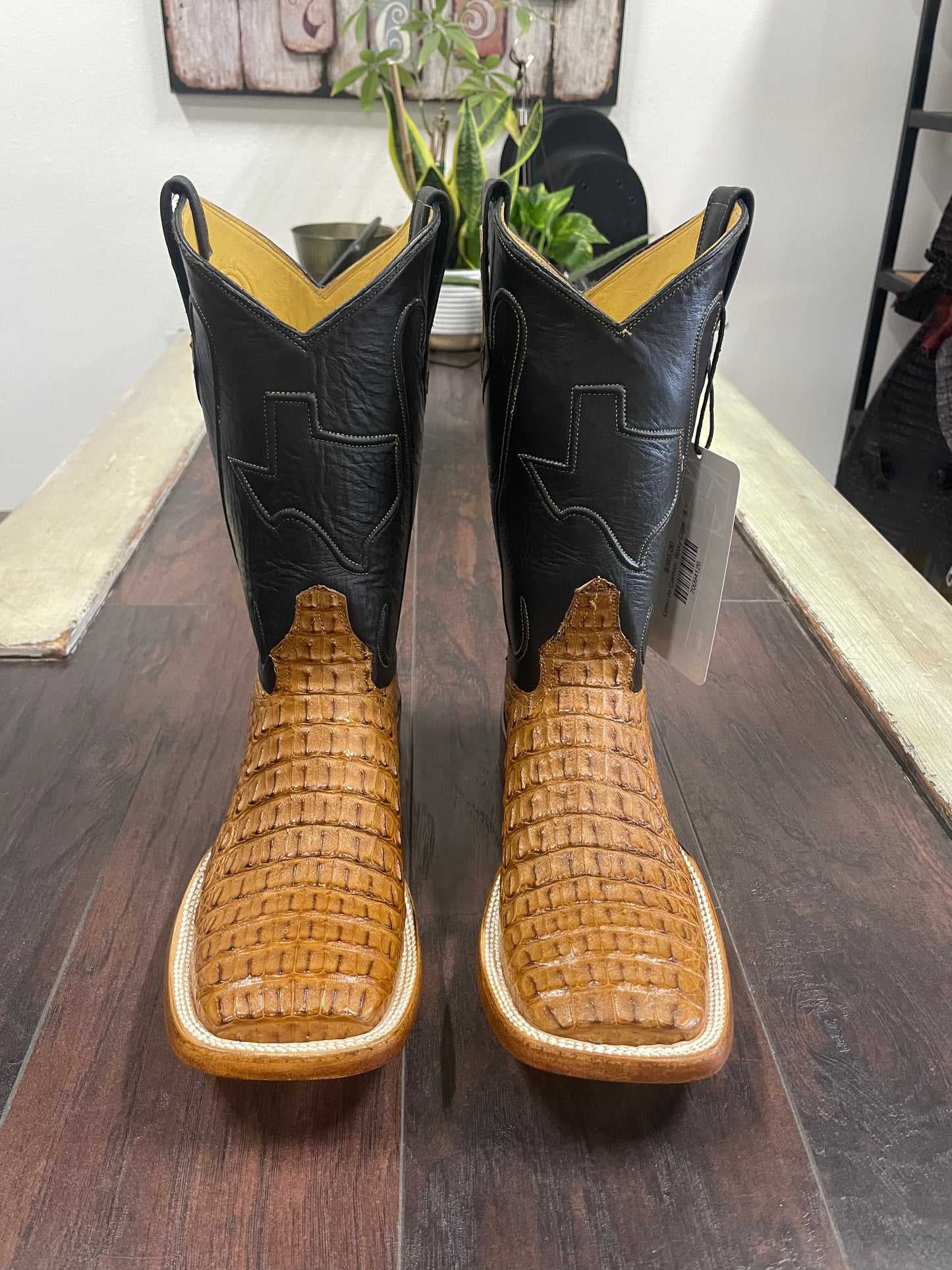 Lomo de Caiman- Waxy Cigar