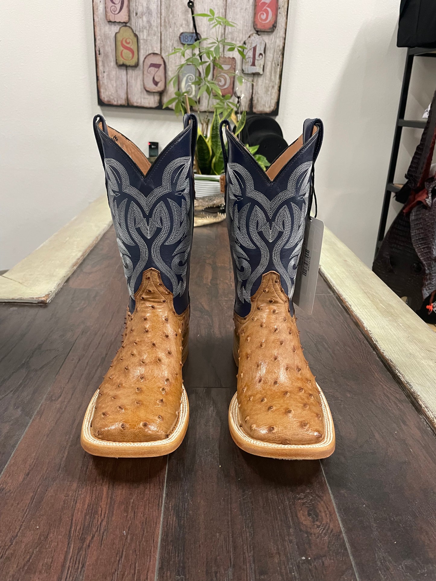 Ostrich -Brandy Bruciato