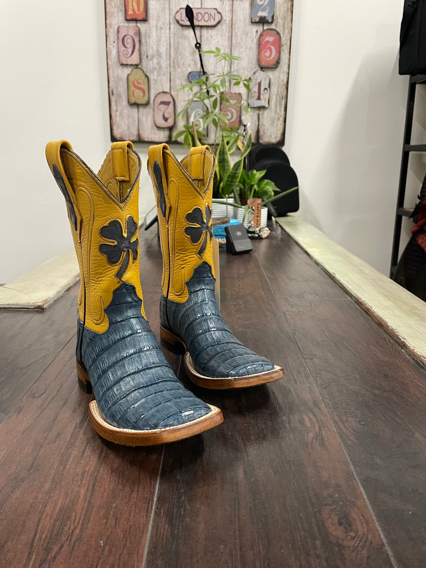 Caiman belly- Blue Jean