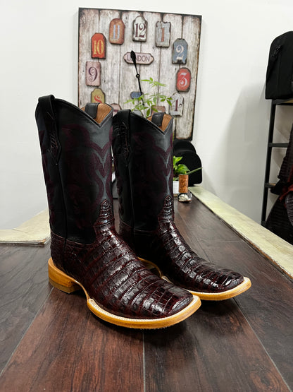 Caiman Lomo-Black Cherry