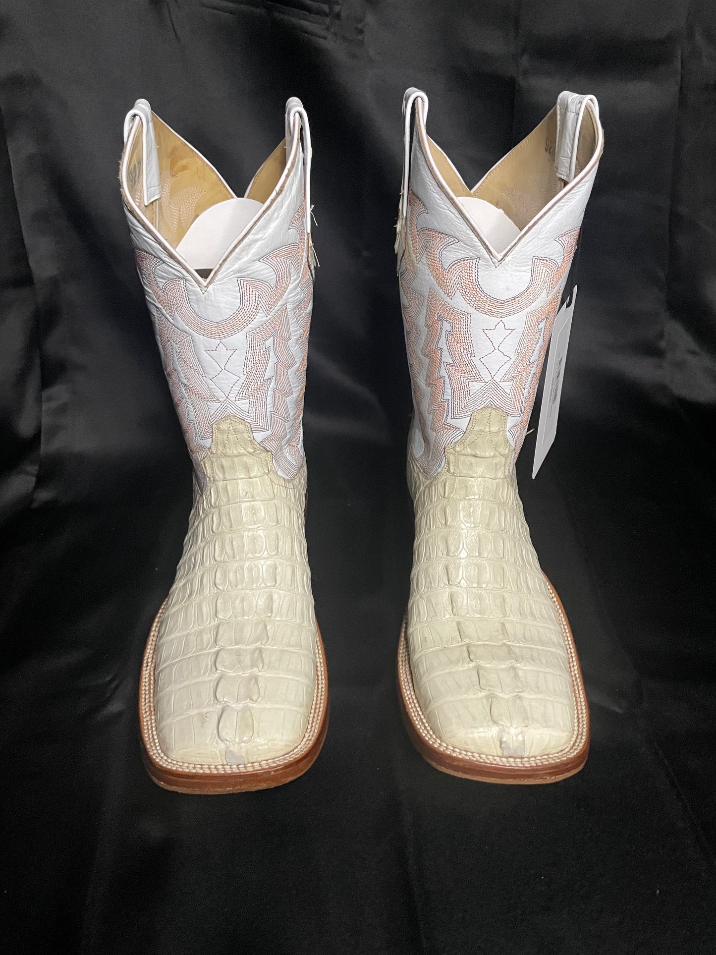 Caiman Tail- Ivory