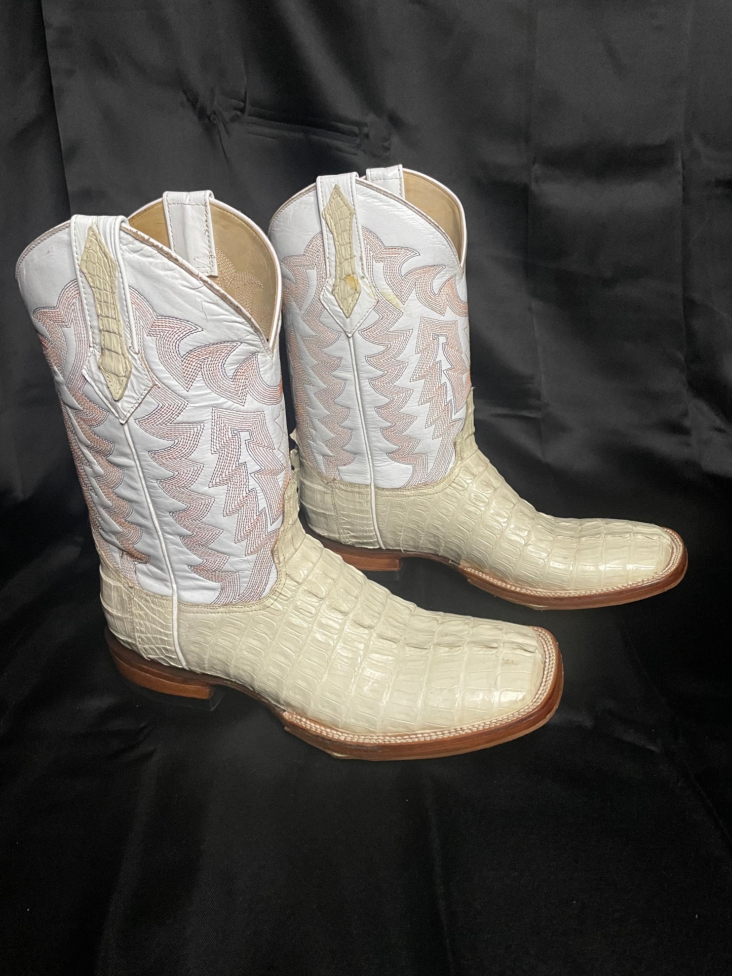 Caiman Tail- Ivory