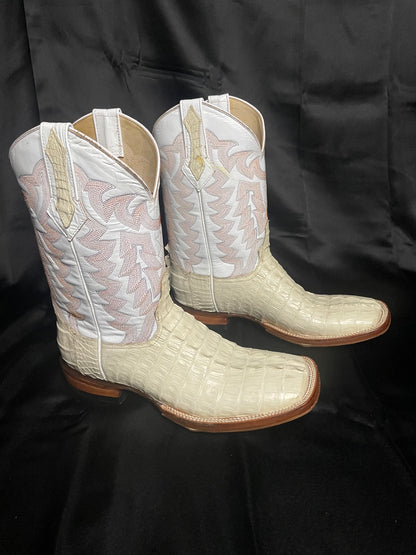Caiman Tail- Ivory