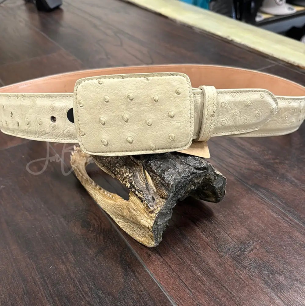 Belt OS Hueso - Exotic- Belt