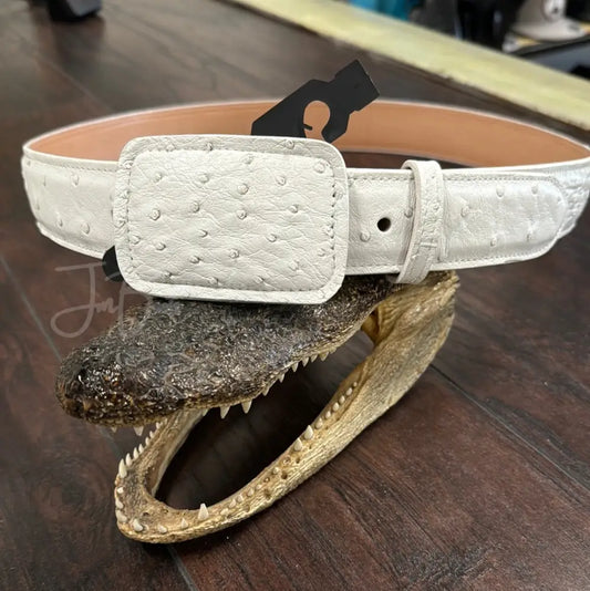 Belt OS White - Exotic- Belt