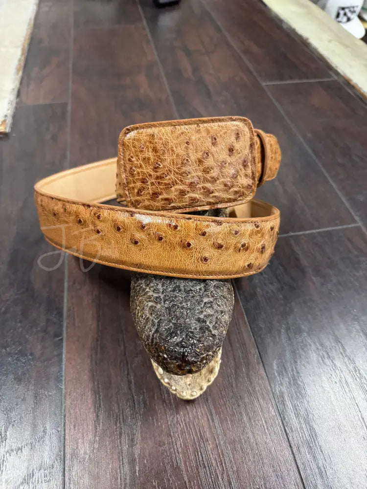 Brandy Bruciato Ostrich belt
