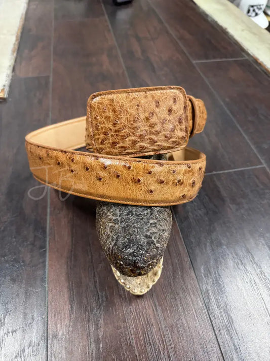 Brandy Bruciato Ostrich belt