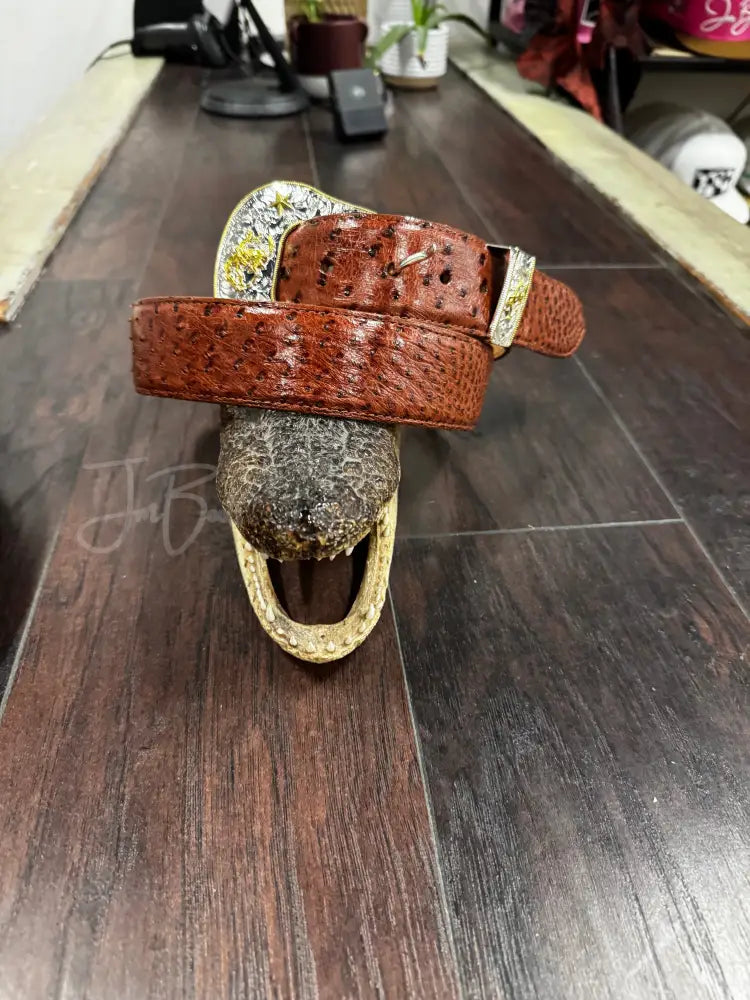 Brandy Ostrich belt