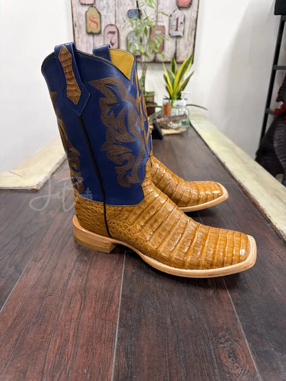 Caiman Belly- antique saddle - Cowboy boots