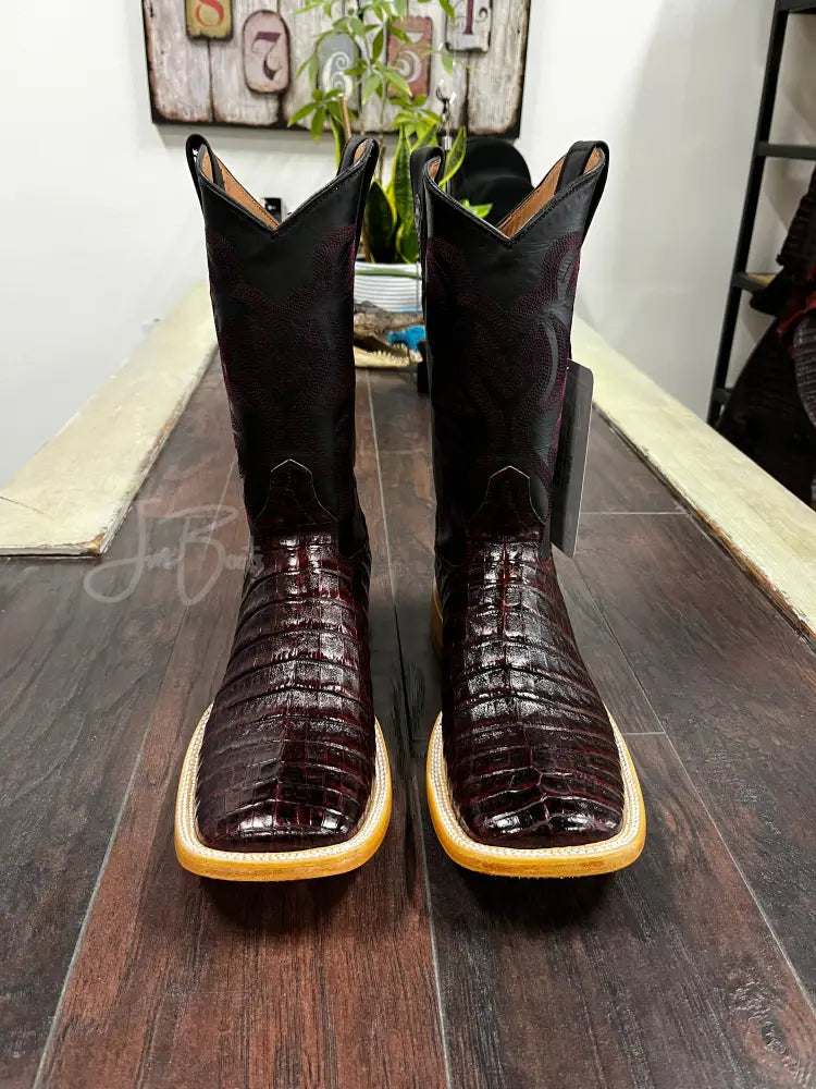Caiman Belly- Black Cherry Cowboy boots