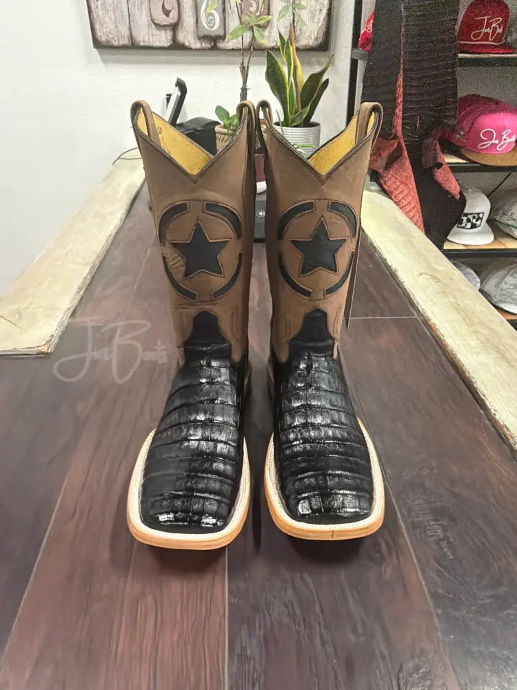 Caiman Belly TS - Cowboy boots