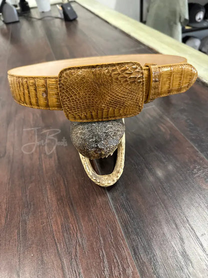 Caiman Belt- Antique Saddle - Exotic- Belt