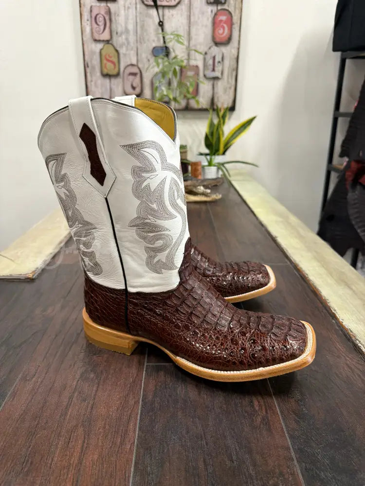 Caiman Nuca- Cigar - 12 EE - Cowboy boots