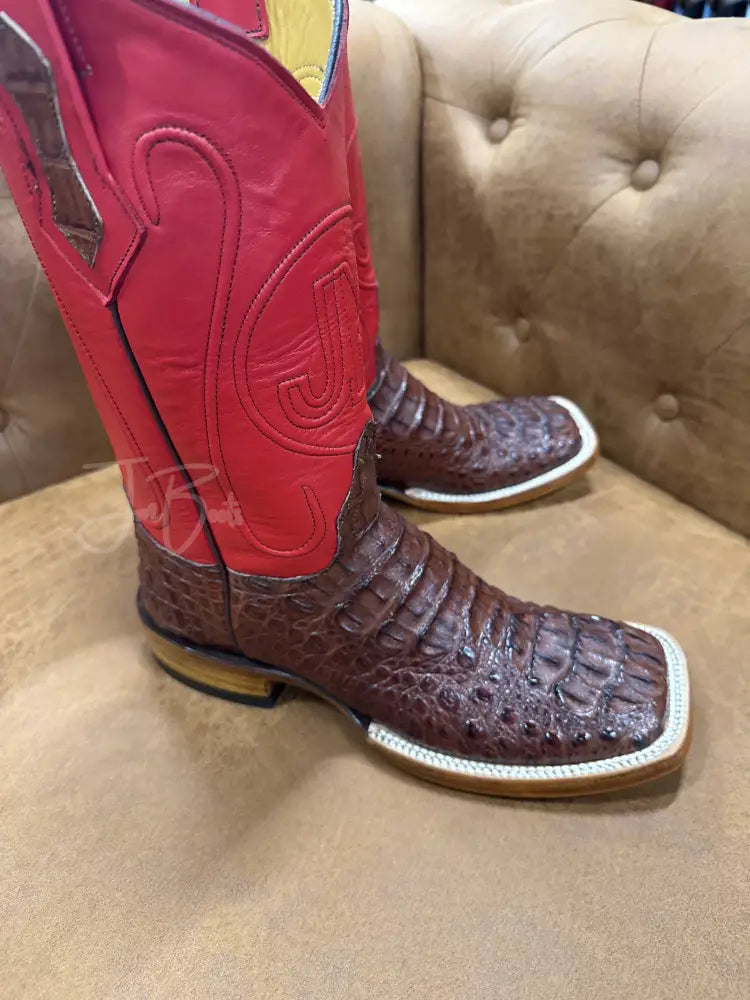 Caiman Nuca- Cigar - Cowboy boots
