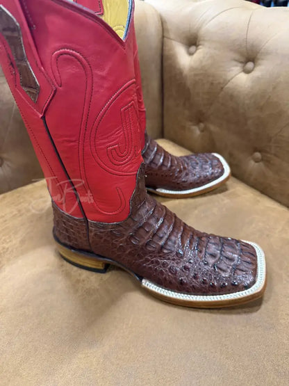 Caiman Nuca- Cigar - Cowboy boots