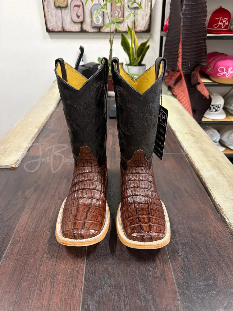 Caiman tail- Cigar - Boots