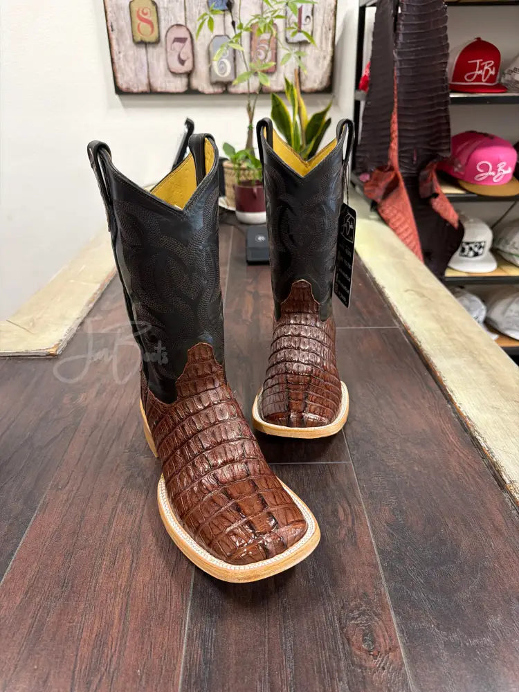 Caiman tail- Cigar - Boots