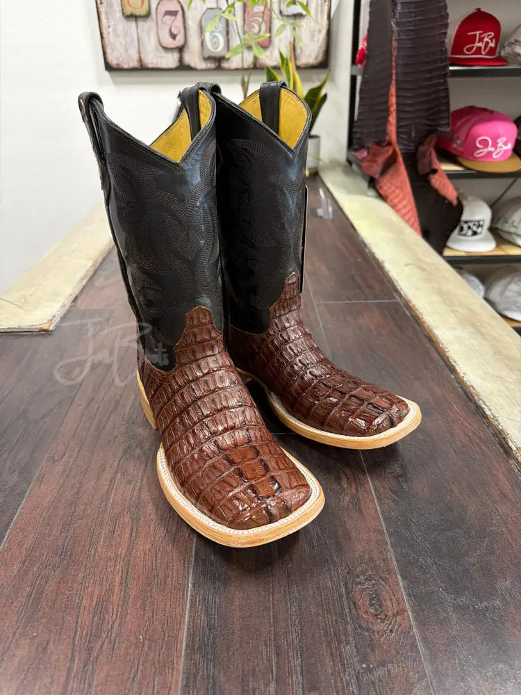 Caiman tail- Cigar - Boots