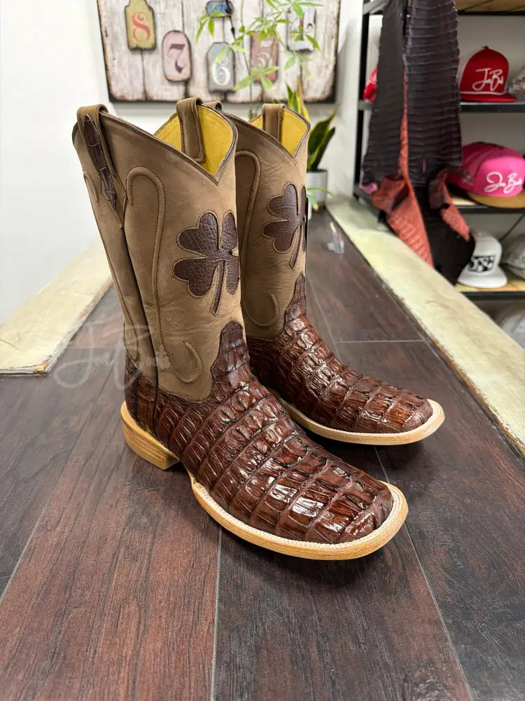 Caiman tail- Cigar - Boots