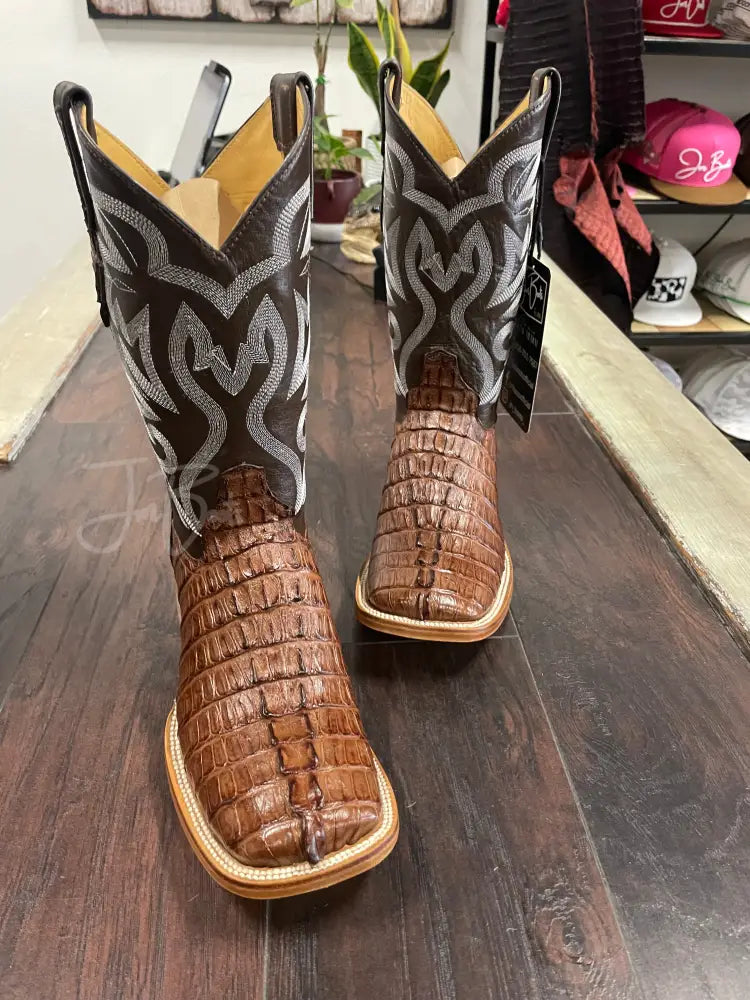 Caiman tail- Waxy Cigar - 7 D - Boots