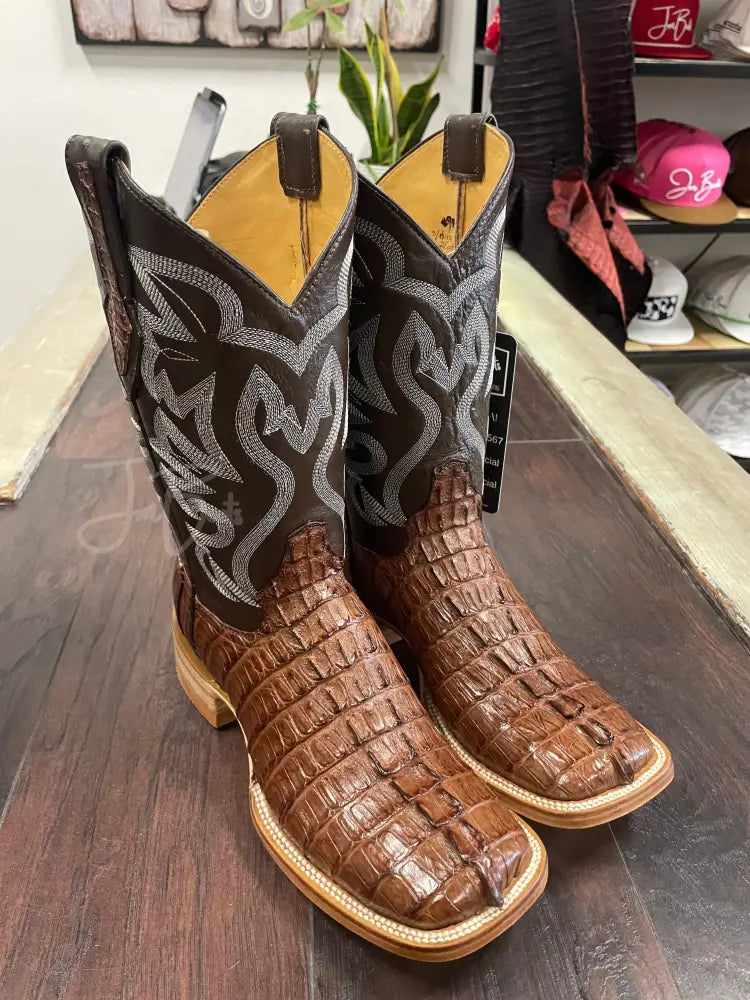 Caiman tail- Waxy Cigar - 7 D - Boots
