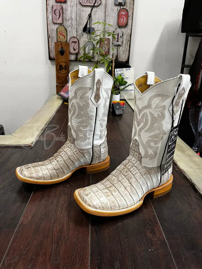 Cola de Caimán- Natural - Boots