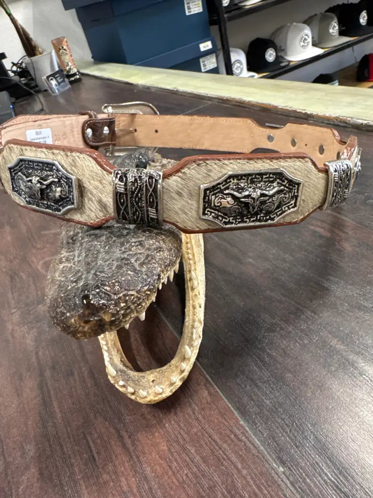 Cowhide belt metal longhorn - 36