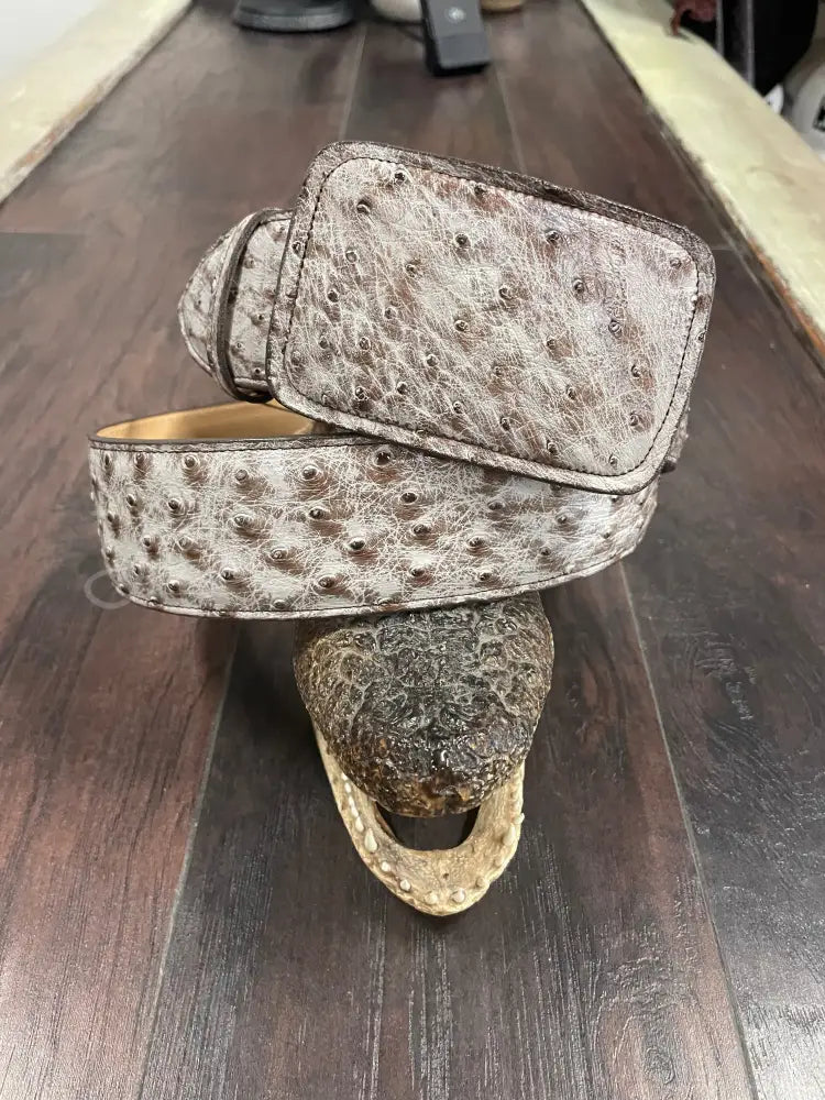 Kango Rio Grande Ostrich belt