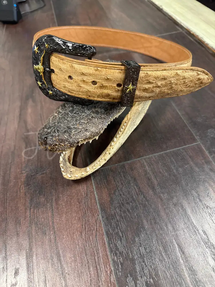 Ostrich Belt- Umber bruciato - 1 1/2”- sz 33- metal buckle