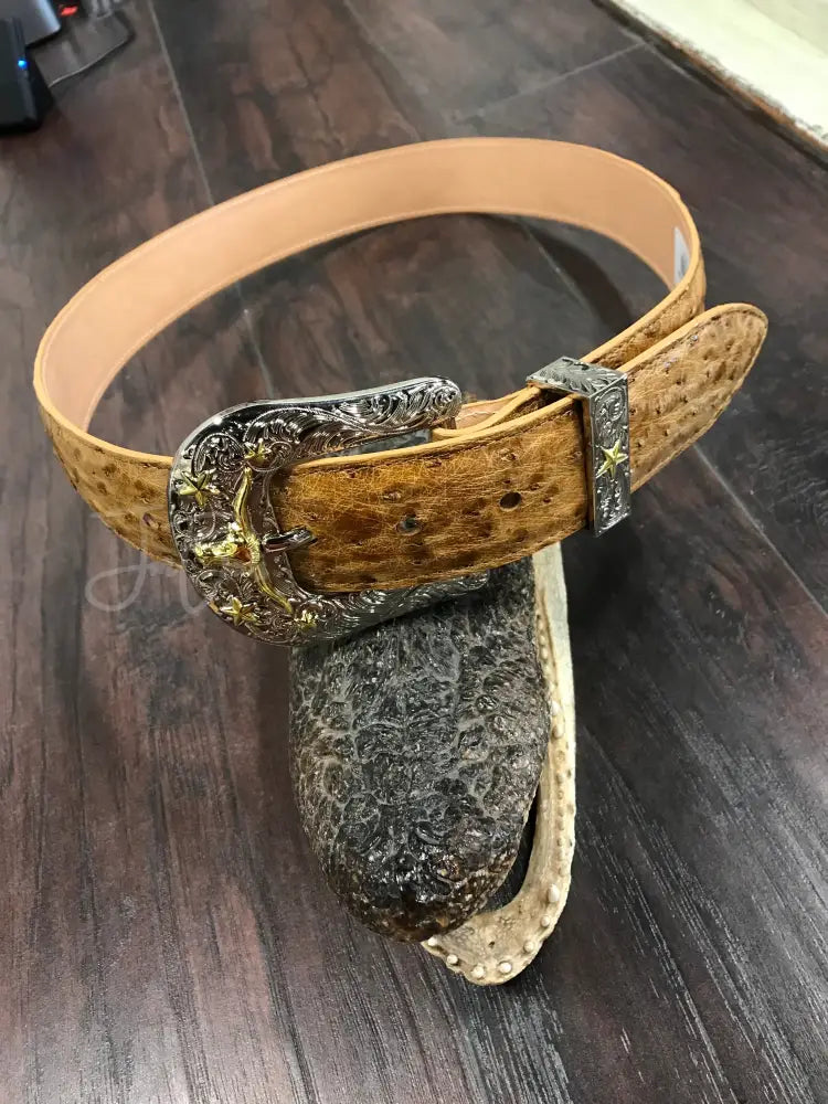 Ostrich Belt- Umber bruciato - 1 1/2’’ sz 36- metal buckle