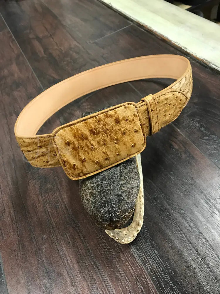 Ostrich Belt- Umber bruciato - 1 3/4”- sz 30