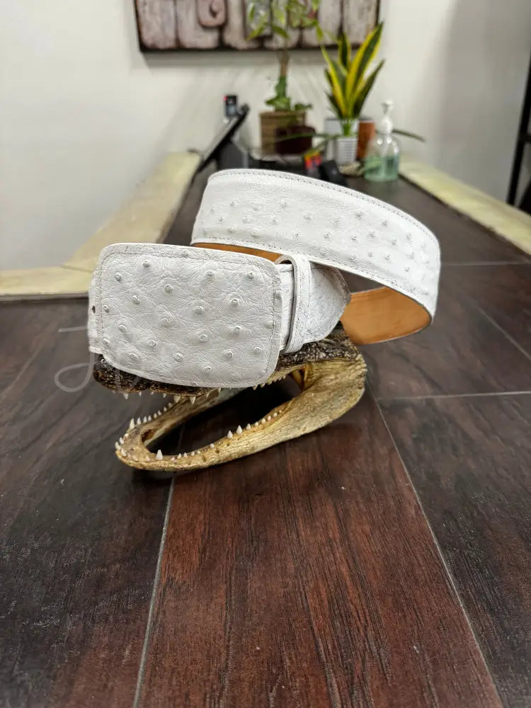 Ostrich Belt- White - 2” Size 42