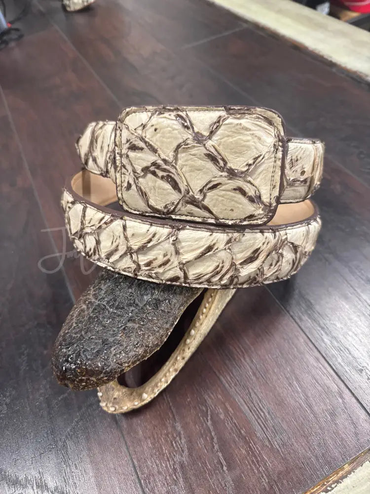 Pirarucu Belt- Cookie
