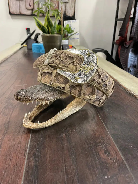 Rustic Saddle Pirarucu Belt - Exotic- Belt