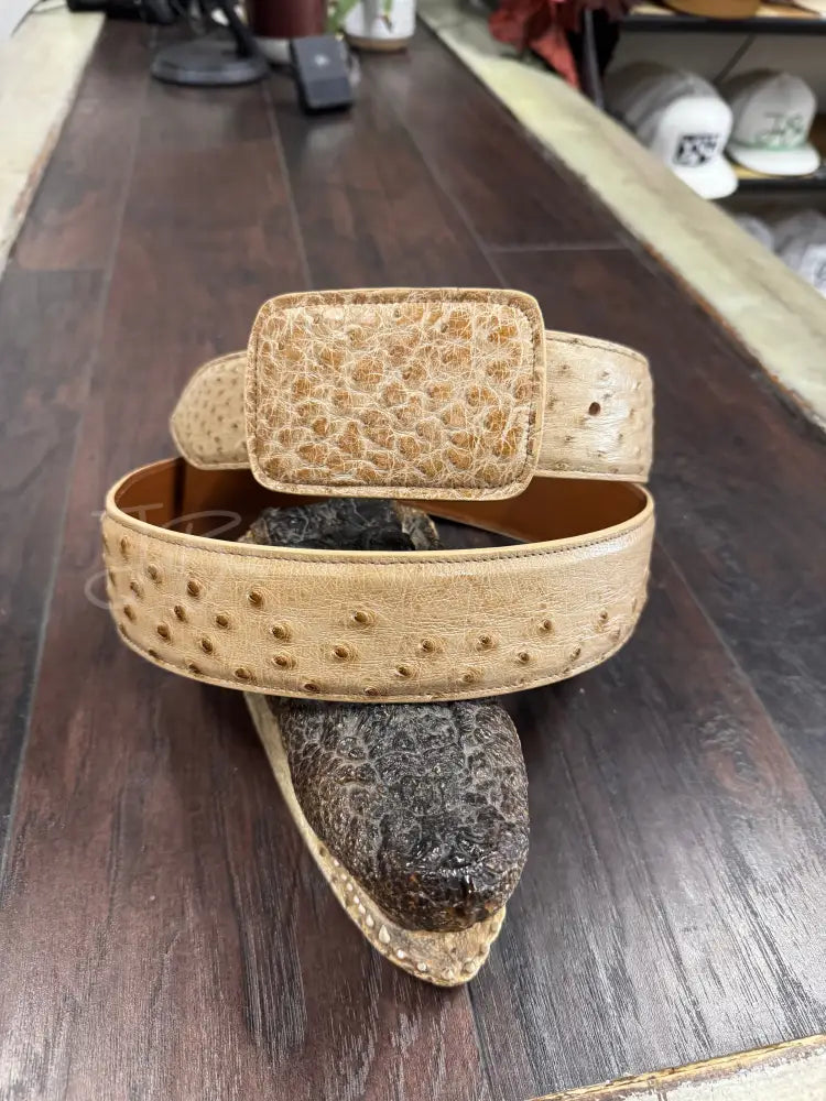 Tan Vintage Ostrich belt