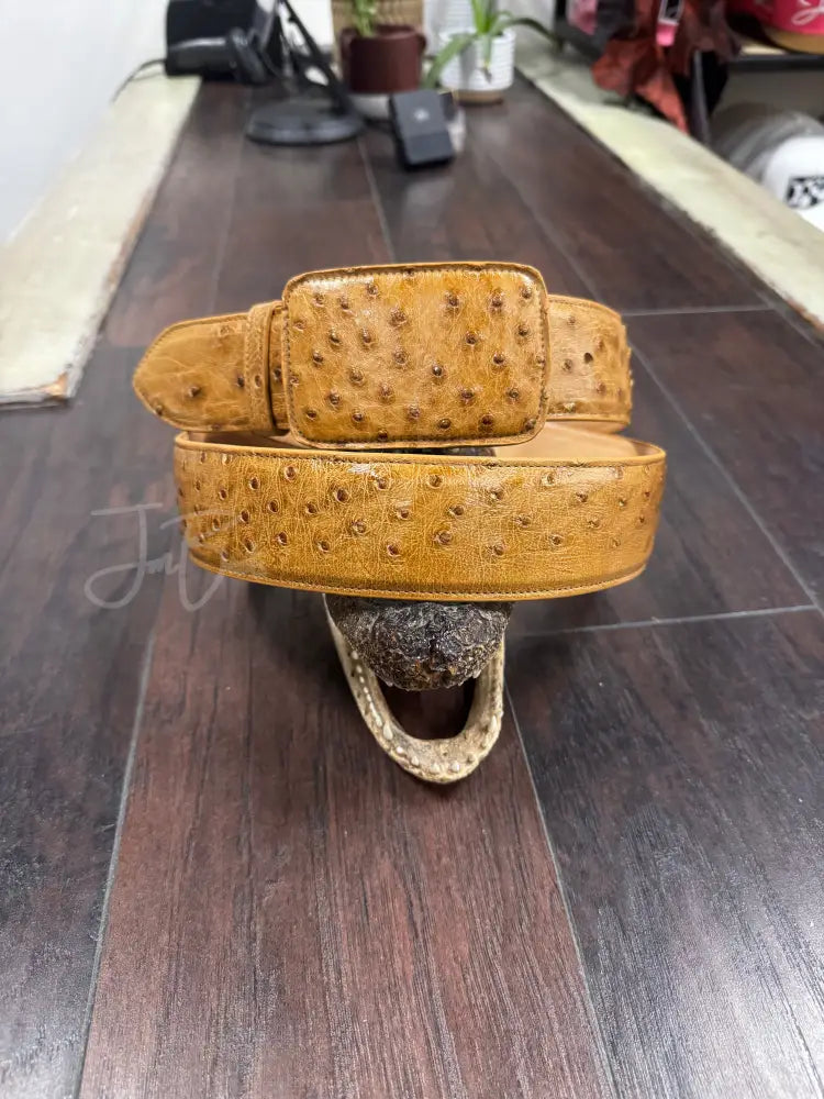 Umber Bruciato Ostrich belt
