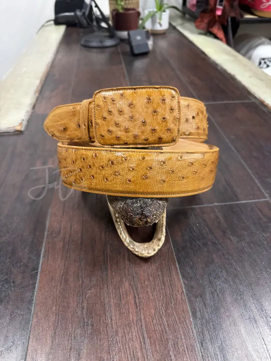 Umber Bruciato Ostrich belt