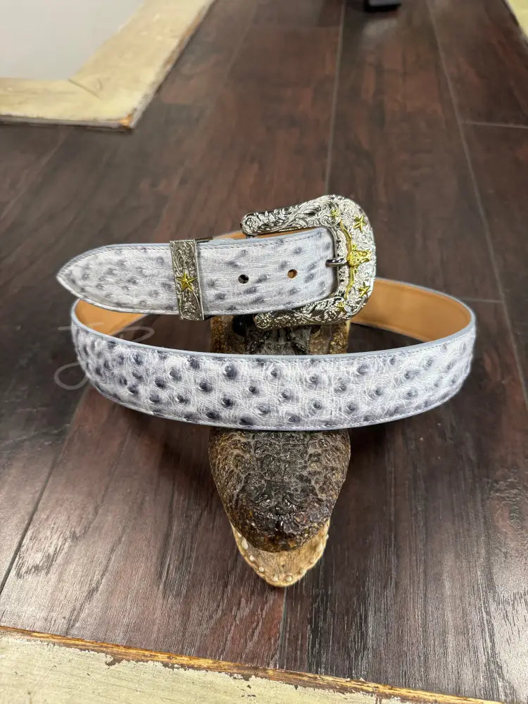 White bruciato Ostrich belt